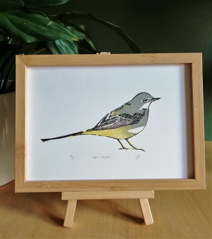 Grey Wagtail