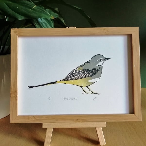 Grey Wagtail