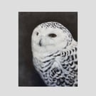 Snowy Owl Original Oil Painting - Bird of Prey Wall Art (10x12) 
