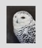 Snowy Owl Original Oil Painting - Bird of Prey Wall Art (10x12) 