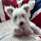White as snow West Highland Puppy