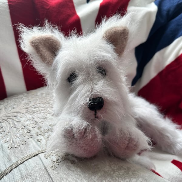 White as snow West Highland Puppy