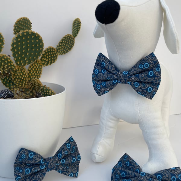  Blue & Gold Paisley Dog Bow Tie 