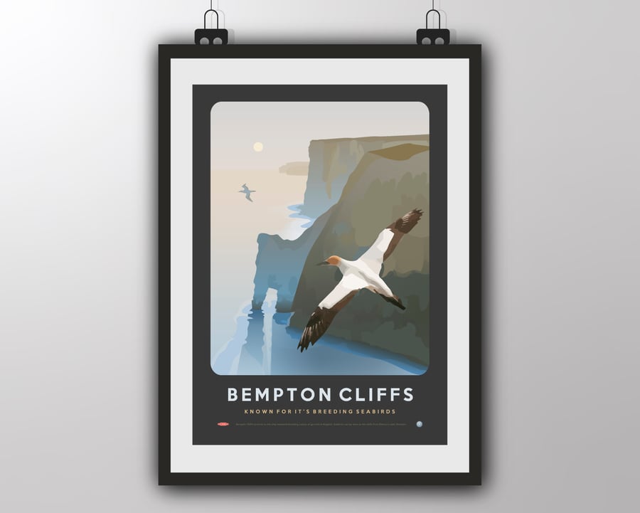Bempton Cliffs - Art Print by Tiv