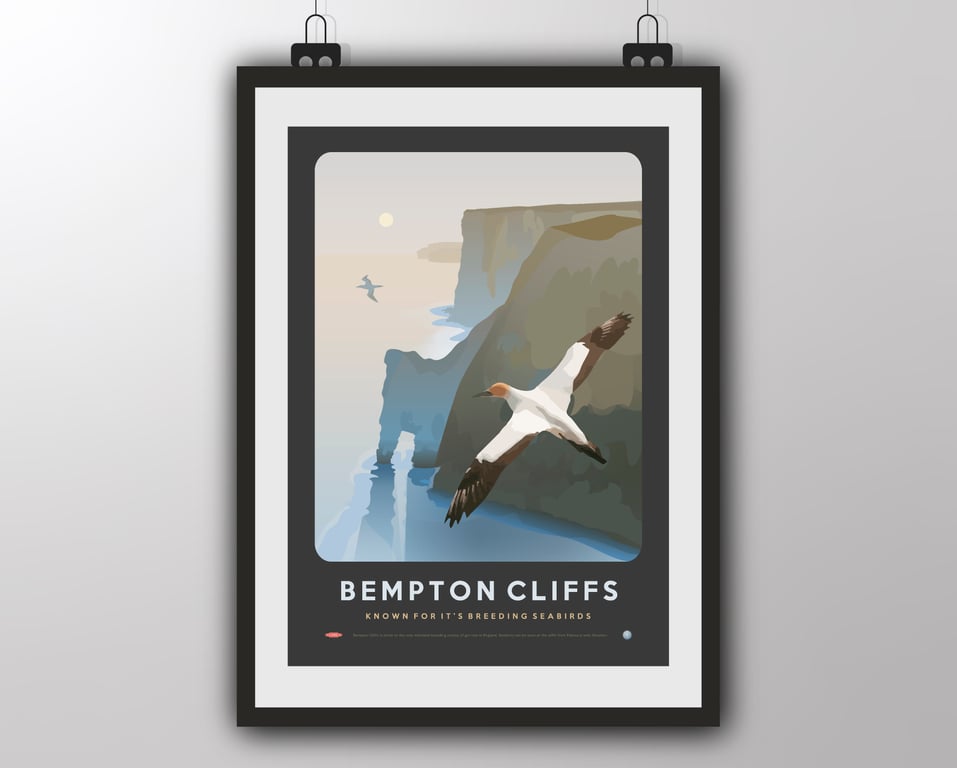 Bempton Cliffs - Art Print by Tiv