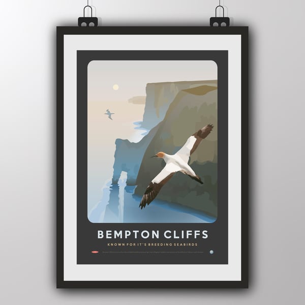 Bempton Cliffs - Art Print by Tiv