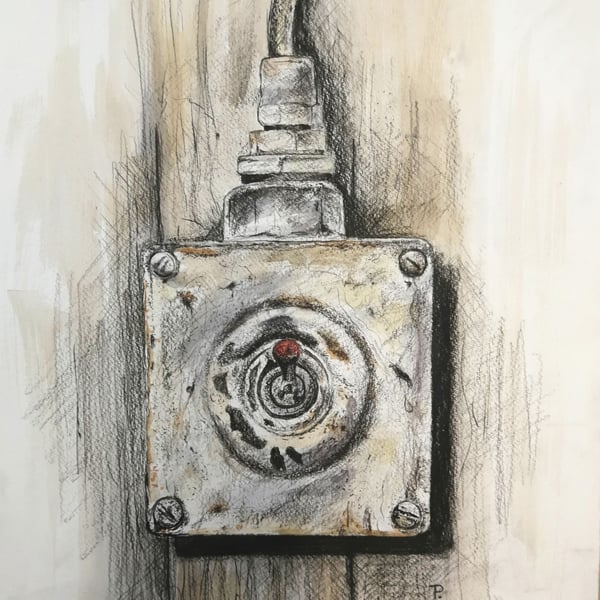 Industrial Light Switch