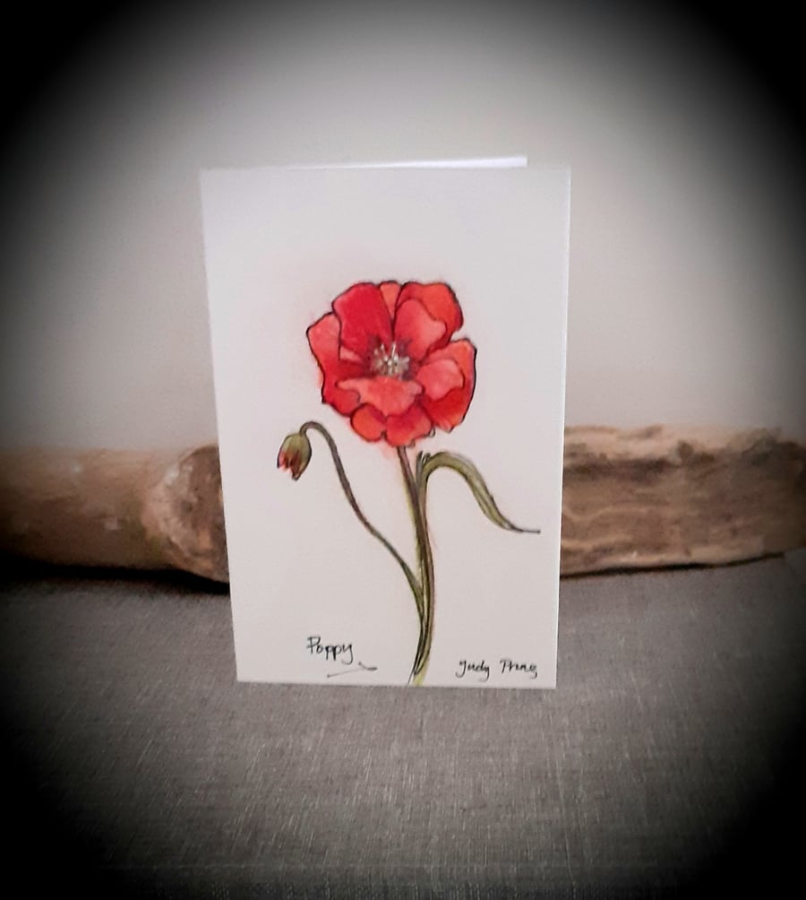 Hand drawn poppy flower card 