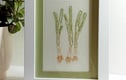 Framed Embroidered Pictures