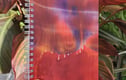 Notebooks