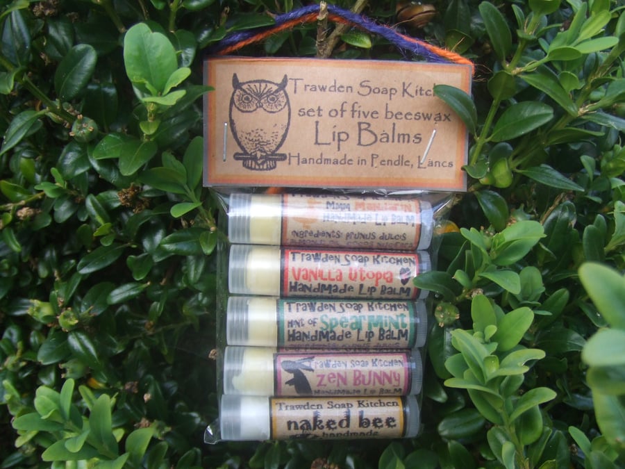 Set of 5 gorgeous beeswax lip balms, handmade in Pendle Uk 