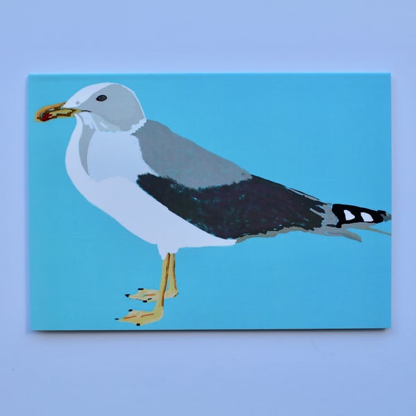 AQUA SEAGULL BLANK GREETINGS CARD