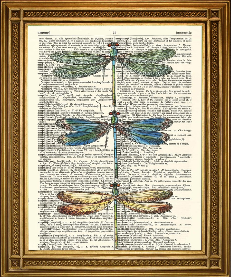 Dragonfly Art: Dictionary Print, Dragonflies Wallhanging
