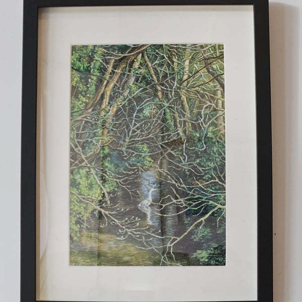 Blackweir Heron