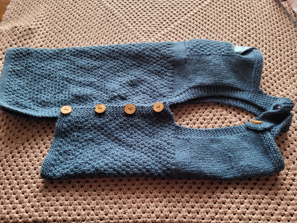 Denim dungarees style,  dog coat 