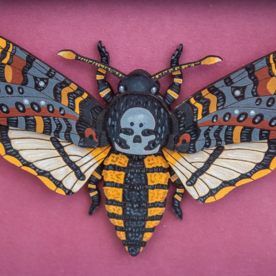Framed Wooden Death’s-head Hawkmoth – Handmade 3D Wall Art