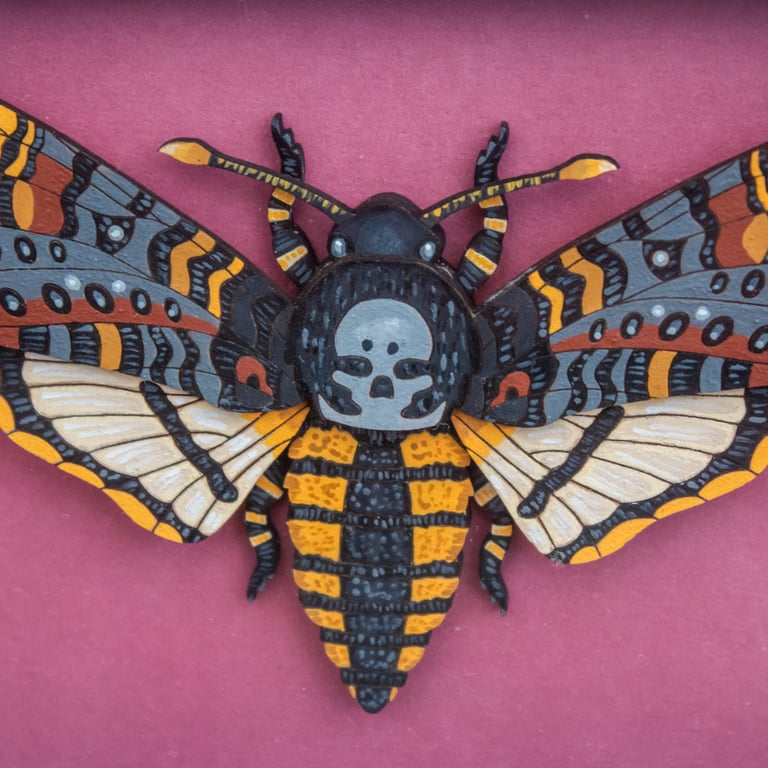 Framed Wooden Death’s-head Hawkmoth – Handmade 3D Wall Art