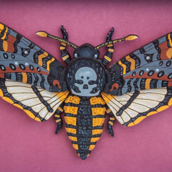 Framed Wooden Death’s-head Hawkmoth – Handmade 3D Wall Art