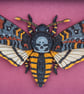 Framed Wooden Death’s-head Hawkmoth – Handmade 3D Wall Art