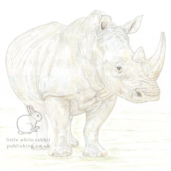 Rhino - Blank Card