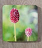 Perfectly Imperfect- Coaster set - 2 mdf coasters -  Allium floral print. - Image 3