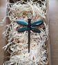 Small Dragonfly  - Image 5