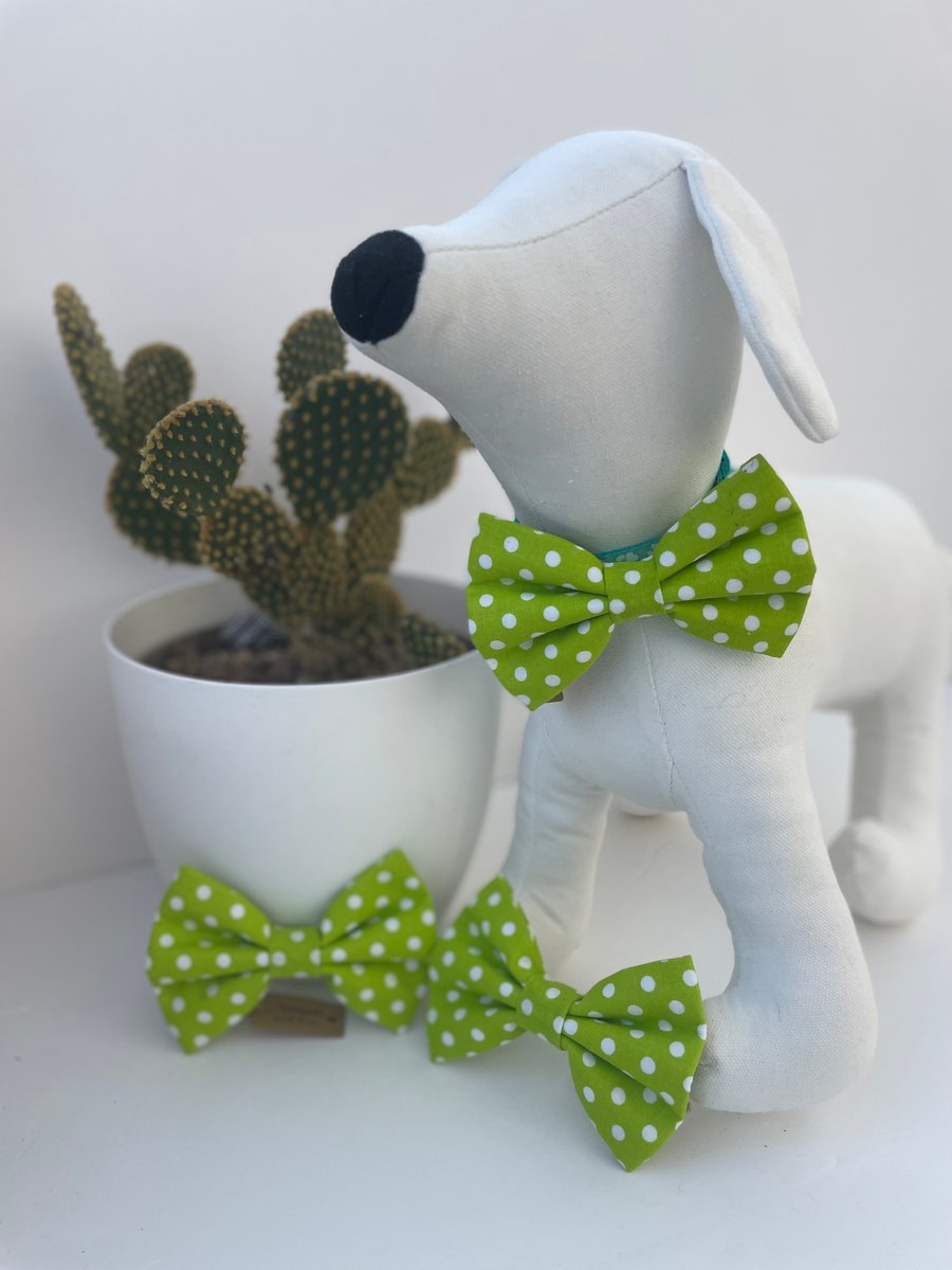 Lime Green & White Spot Dog Bow Tie 