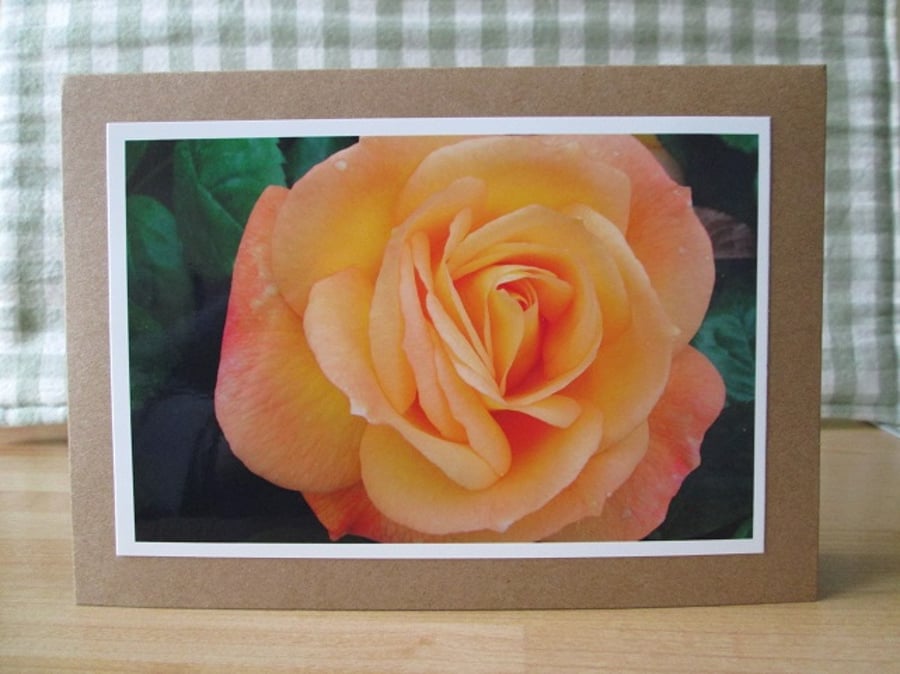Peach Rose Photo Greetings Card