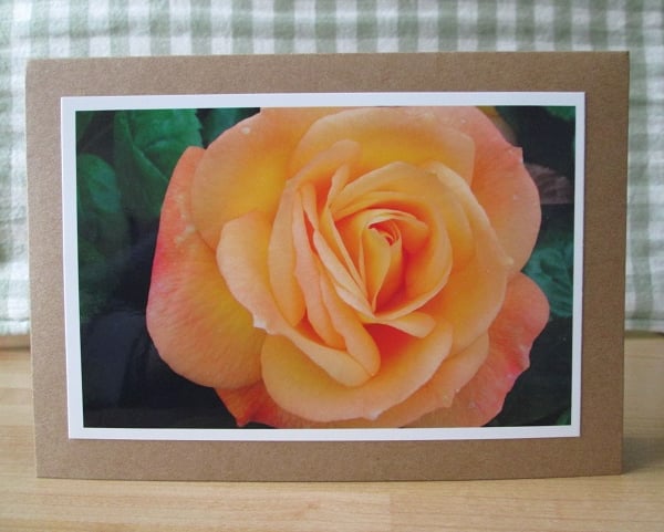 Peach Rose Photo Greetings Card, Floral Greetings Card