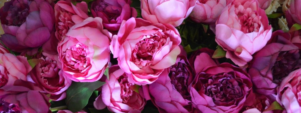 Heavenly Homes and Gardens