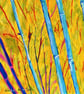 Framed Bamboo Oil Painting Colourful Maximalist Art - Image 6