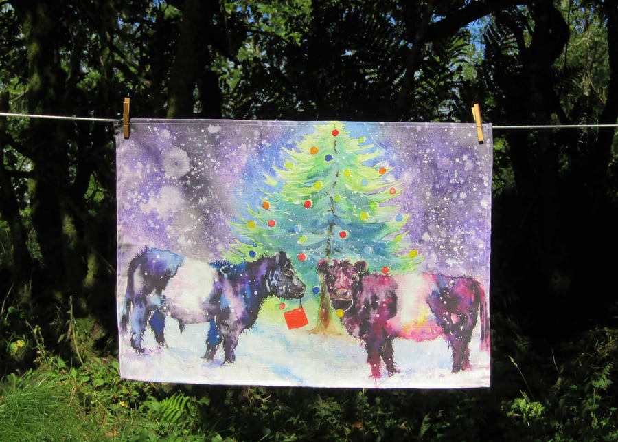 Belted Galloway Christmas Tea Towel Gift.