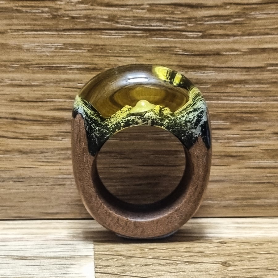 UFO Crash Ring in Mango