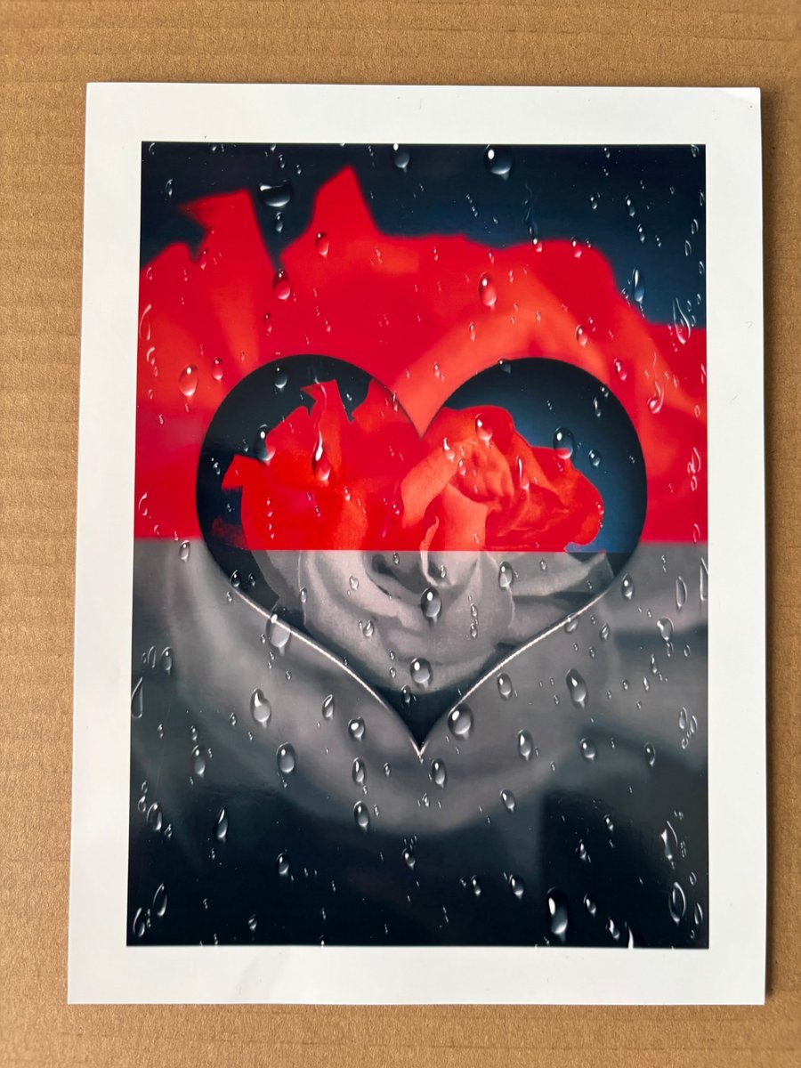 8x6 inch Photo Print of Raindrop Rose Design
