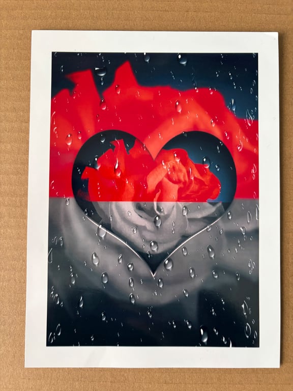 8x6 inch Photo Print of Raindrop Rose Design