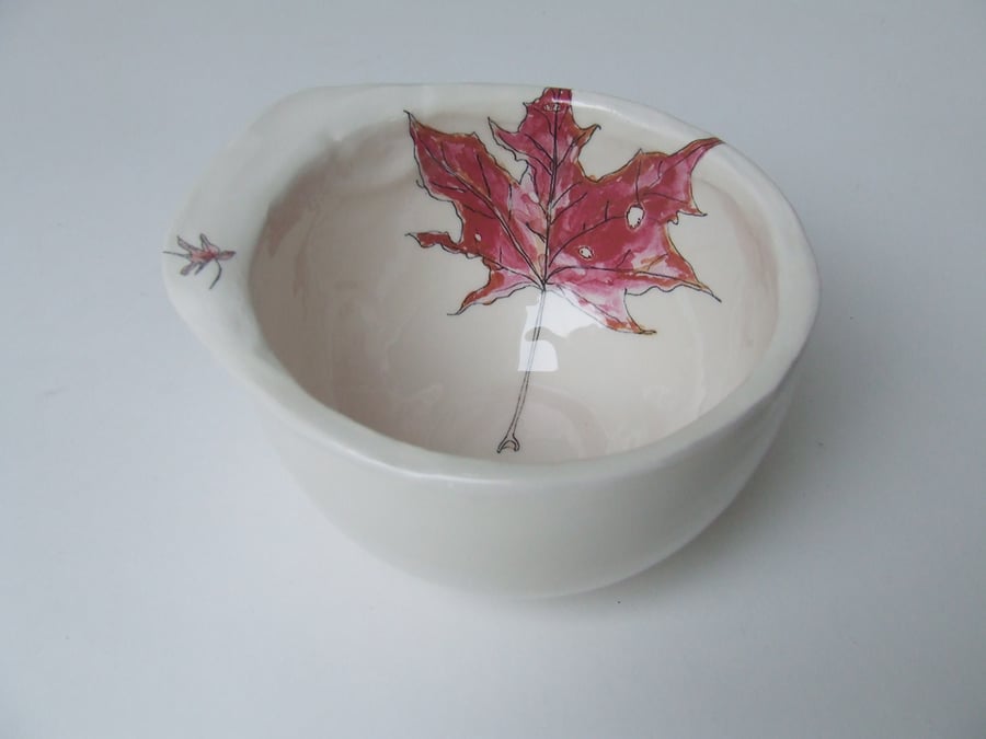 The Bowl - Autumn Series