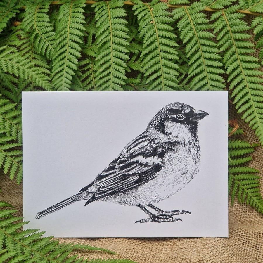 House sparrow card