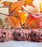 Lil' Pumpkins - Russet - Image 2