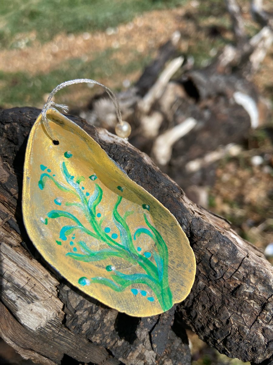 Hand painted mussel shell from an Argyll beach. With a beaded hanger.
