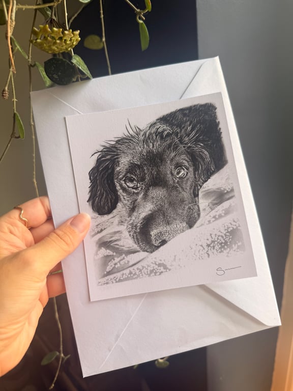 Charcoal Pet Portrait