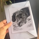 Charcoal Pet Portrait