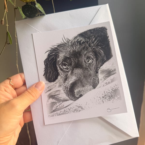 Charcoal Pet Portrait