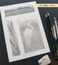 Pencil drawings 2 - Egret, Landscape and reedmace, original art, A5 drawing - Image 6