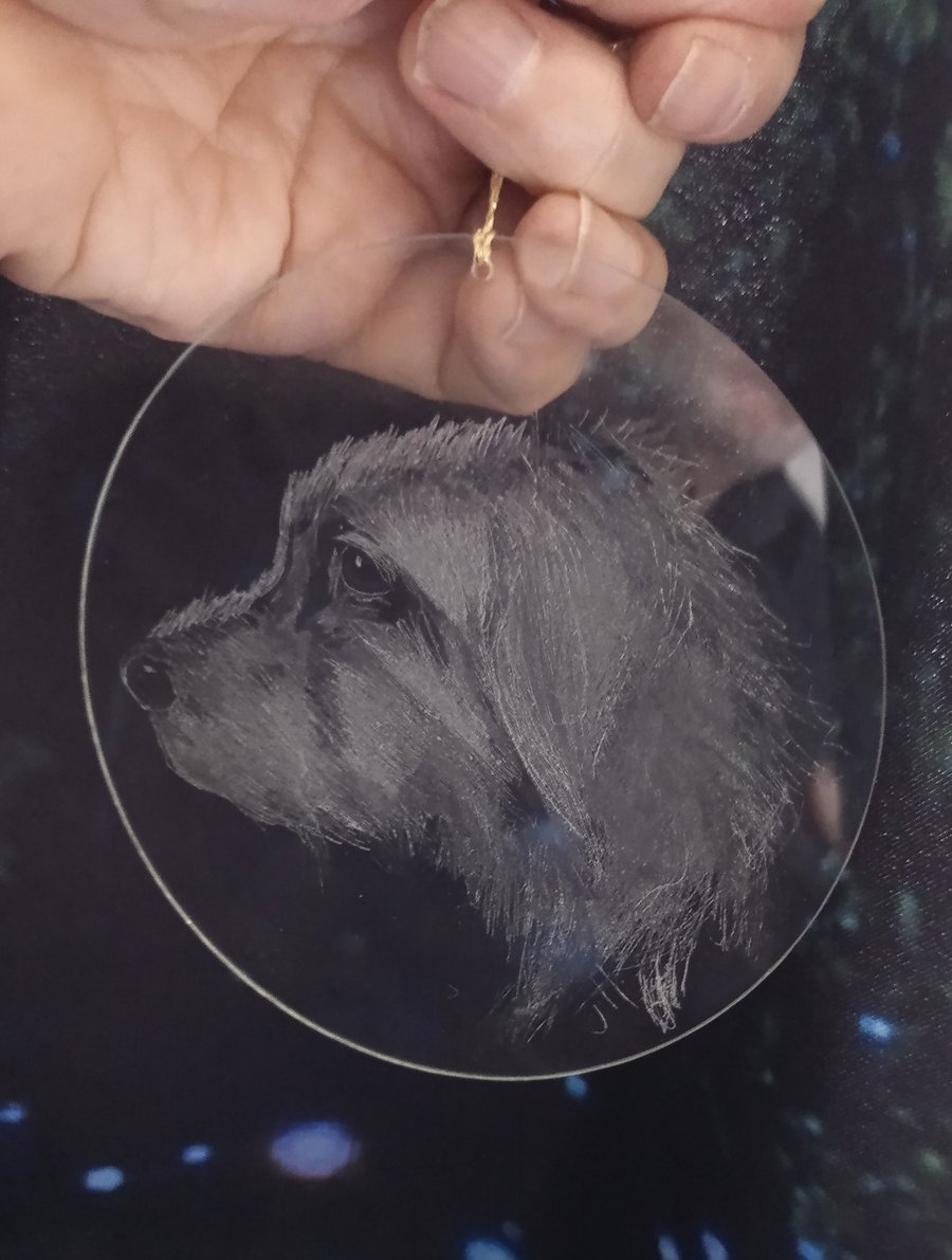 Pet Portraits on glass disk