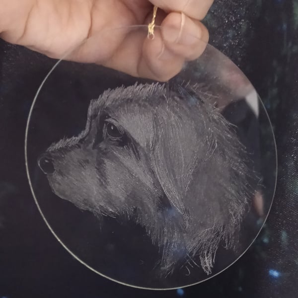 Pet Portraits on glass disk