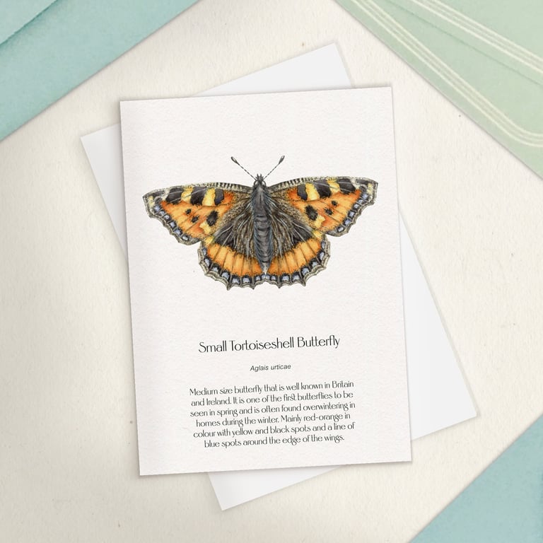 Single Small Tortoiseshell Butterfly Greetings Card - A6 Size