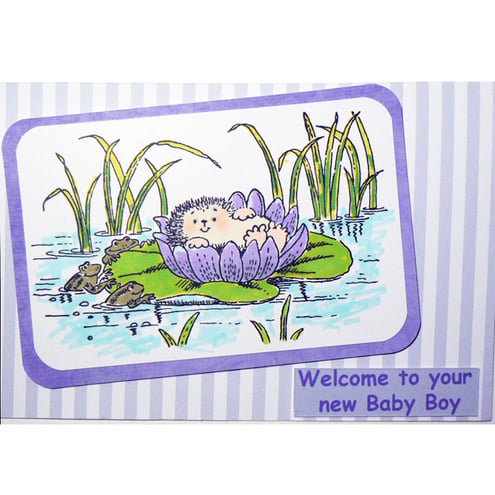 Hedgehog in the Bullrushes - New Baby Card (BB115 & BG116)