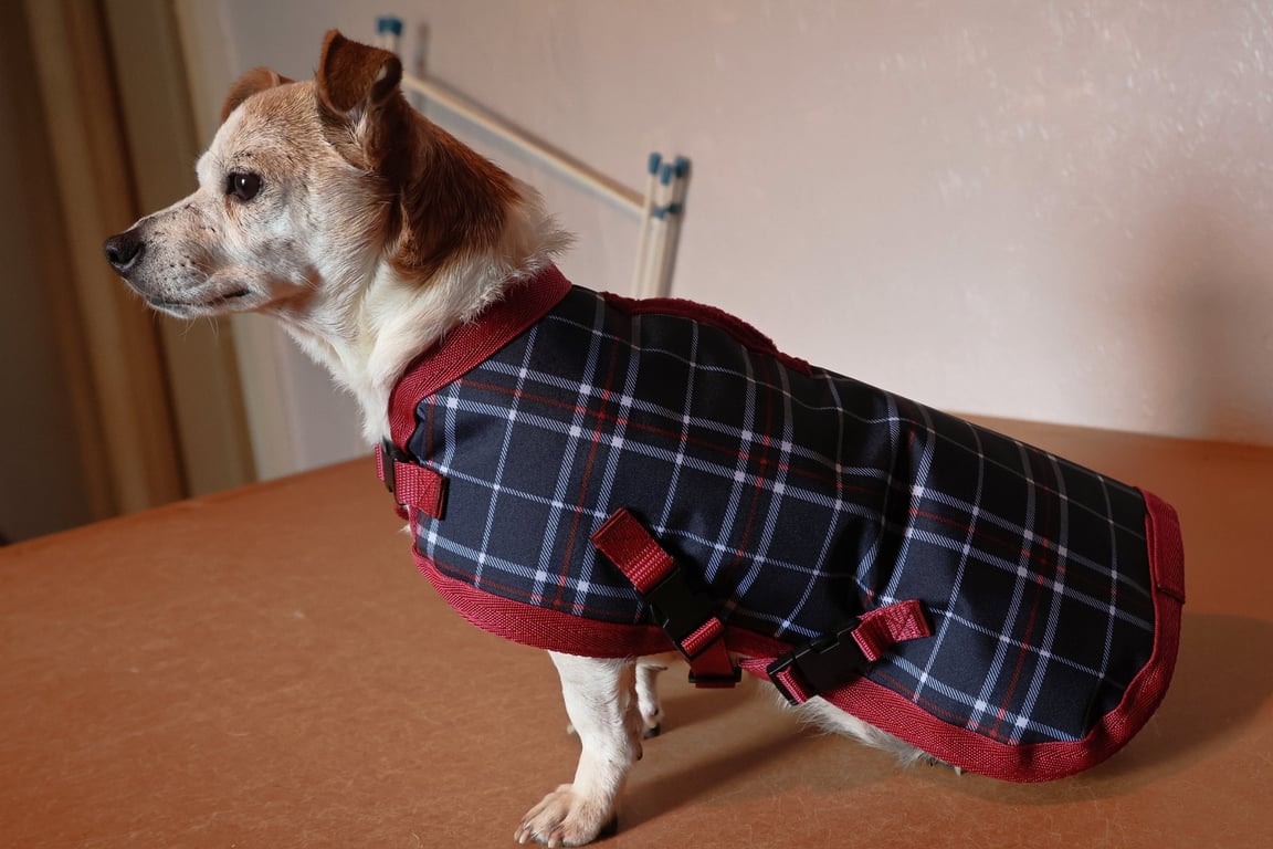 Waterproof Dog Coat, Fleece Lined, Made to Measure  Blue,Burgundy,Grey Check