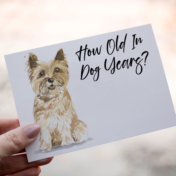Cairn Terrier Dog Birthday Card, Dog Birthday Card, Personalized
