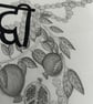 Prosperity  Marathi Botanical Drawing - Image 3